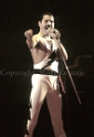 Queen Konzert der "Works"-Tour in der Londoner Wembley Arena (2)